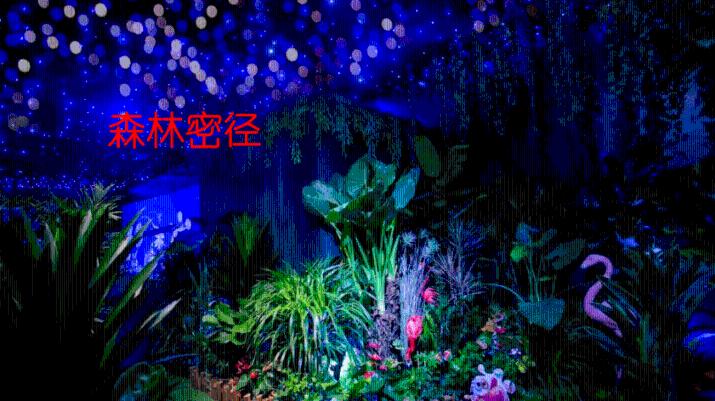 不知道大卫地板怎么样,你们知道吗?知识星球平台,分享精华知识